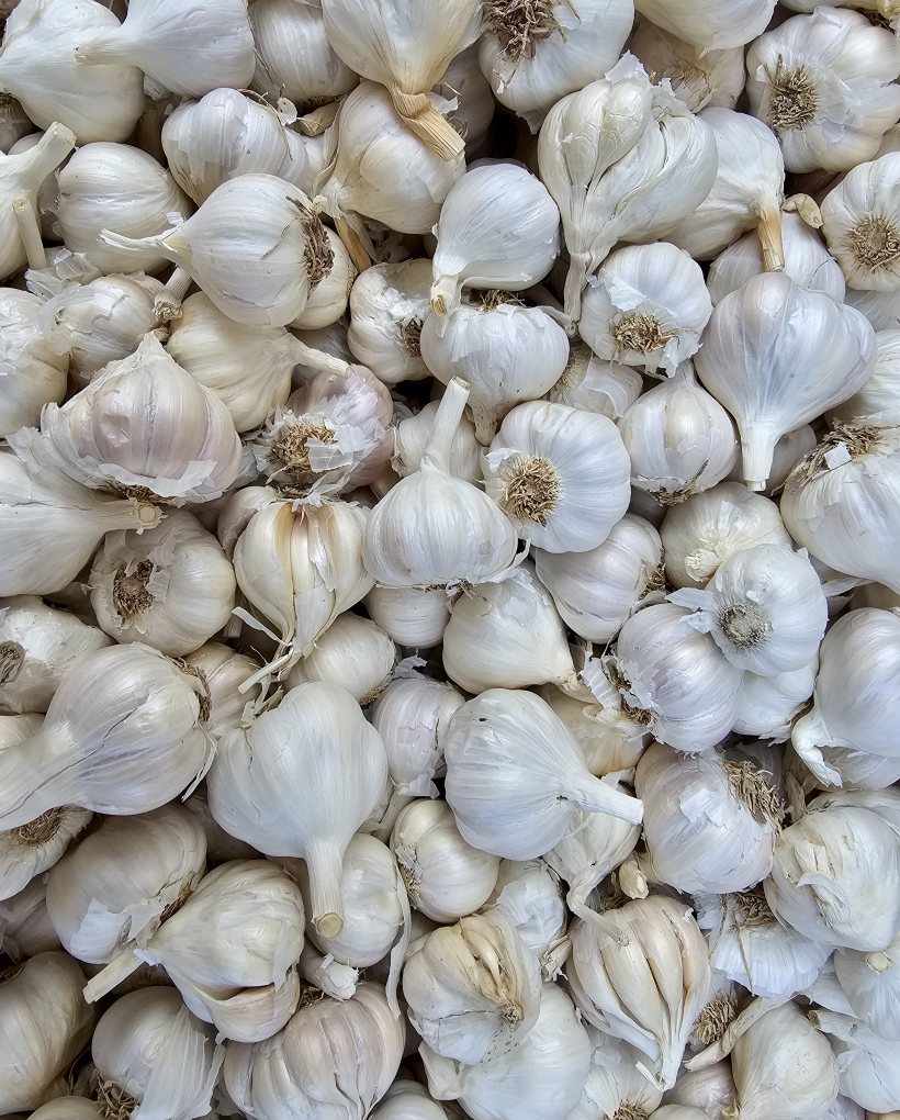 Garlic produce and mandi trading