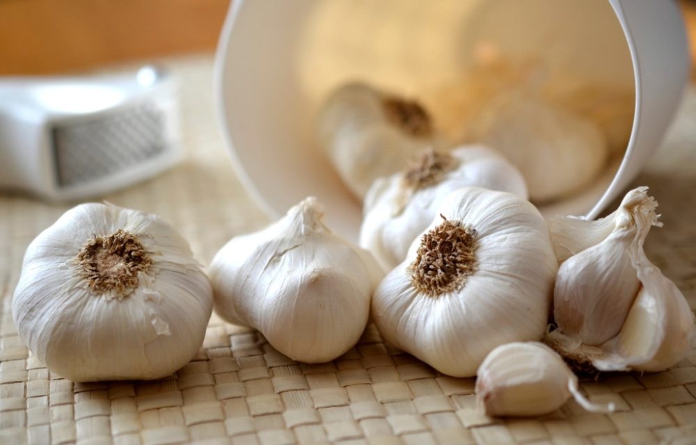 Garlic market